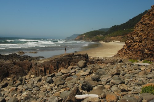beach with guy and dog