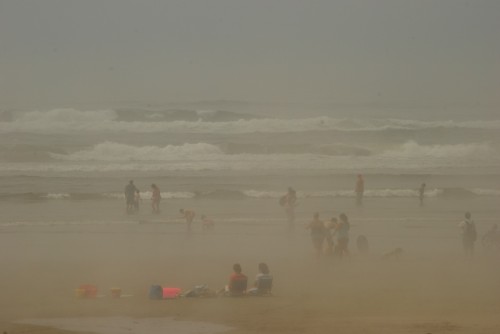 cannon beach in the fog
