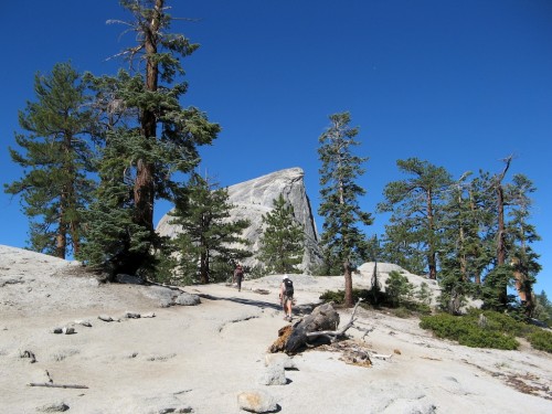 half dome granite trail