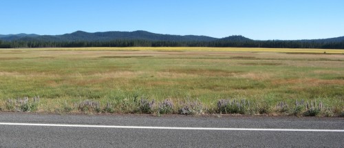 highway 89 to Lassen national park highway 89 to Lassen national park