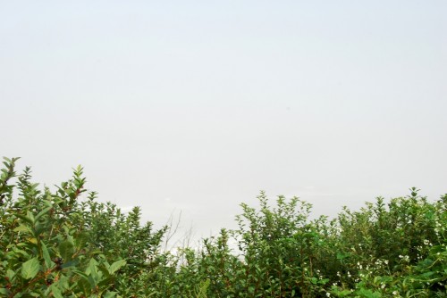 oregon coast fog