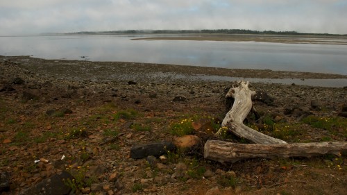 three capes drive shoreline