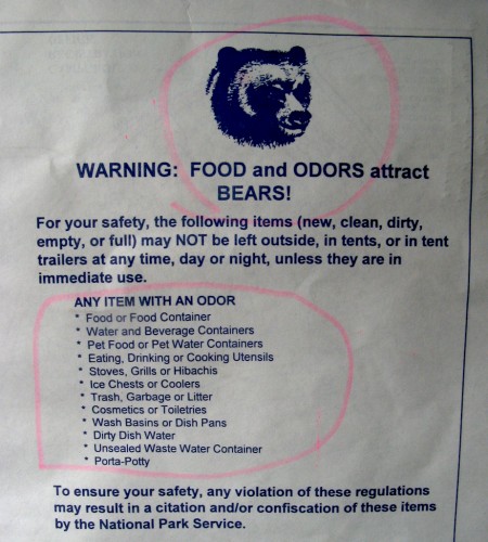 bear-rules