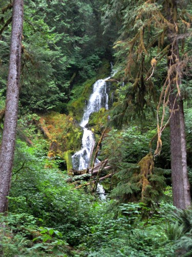 mineral creek falls