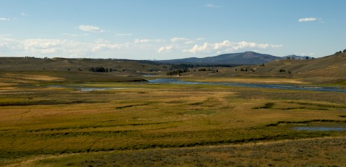 yellowstone_hayden-valley