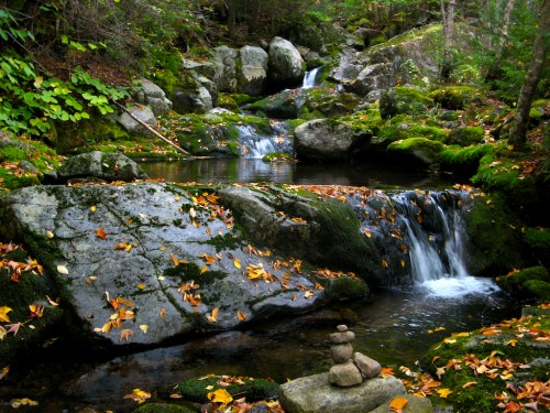 big-slide_cascade-with-leaves