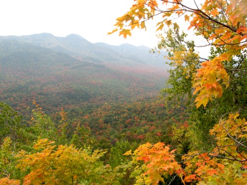 big-slide_valley-leaves