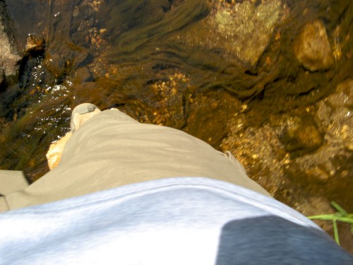 harney-peak_creek-crossing