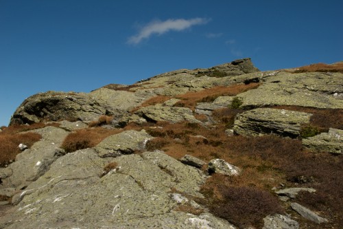 mansfield_alpine-colors