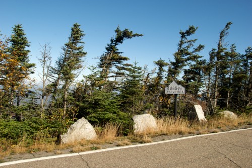 whiteface_elevation-sign