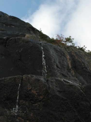 acadia_cascade-on-trail