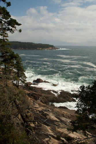 acadia_shoreline