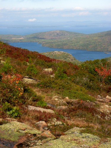 acadia_sidehill-view