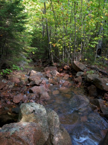 acadia_stream-crossing