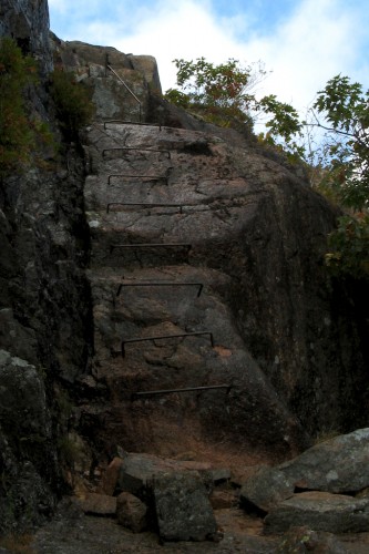 acadia_trail-ladder