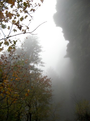alum-cave_cliff-in-mist
