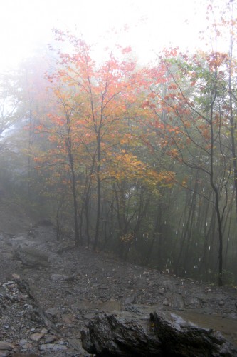 alum-cave_color