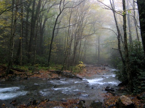 alum-cave_creek-downstream