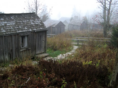 alum-cave_lodge