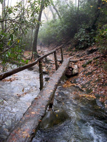 alum-cave_log-bridge