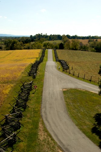 antietam_golden-grain