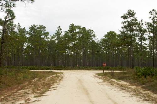 apalachicola_t-intersection
