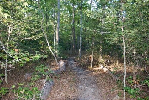 chancellorsville-battlefield