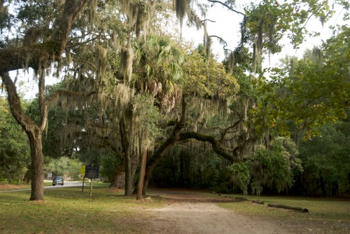 chapel-of-ease_driveway
