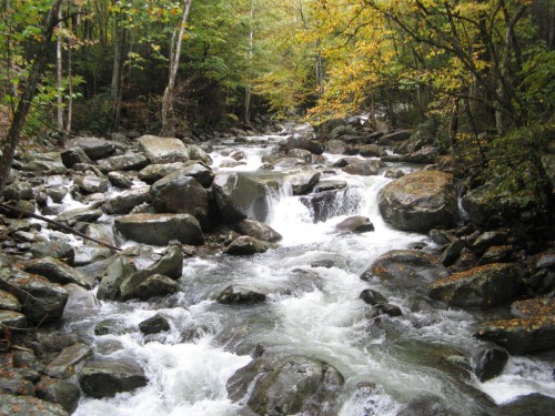 ramsay_little-pigeon-river