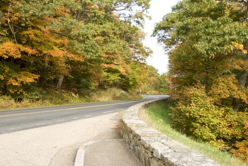 shenandoah_skyline-drive-leaves