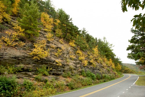 shenandoah_yellow-by-road
