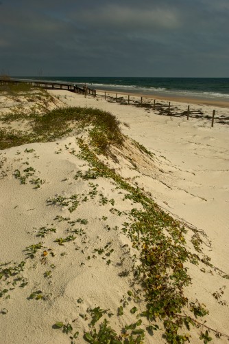 st-george-island_dune