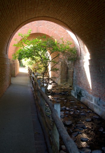 williamsburg_underpass