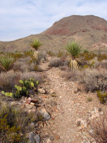 big-bend_desert-hill