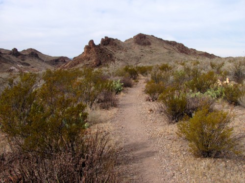 big-bend_desert-trail