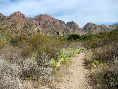 big-bend_window-trail