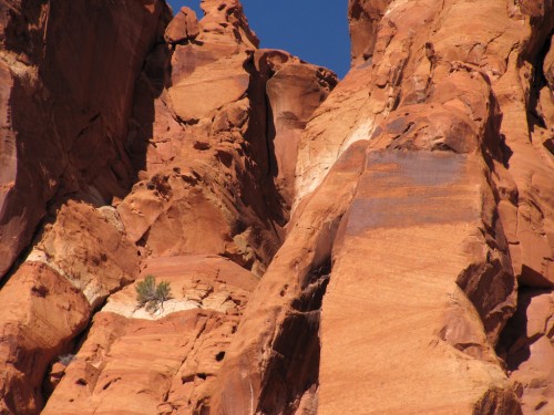 capitol-reef-chimney-rock 12