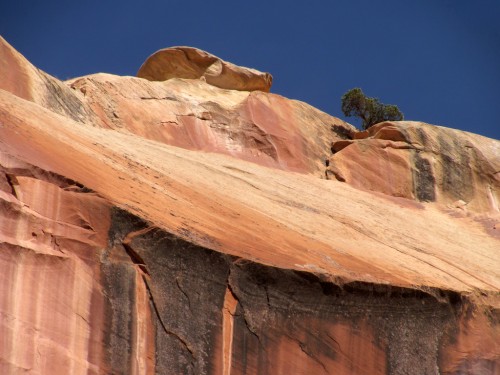 capitol-reef-chimney-rock 9