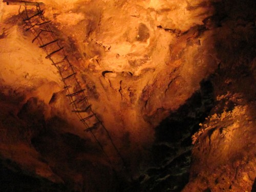 carlsbad-caverns_ladder
