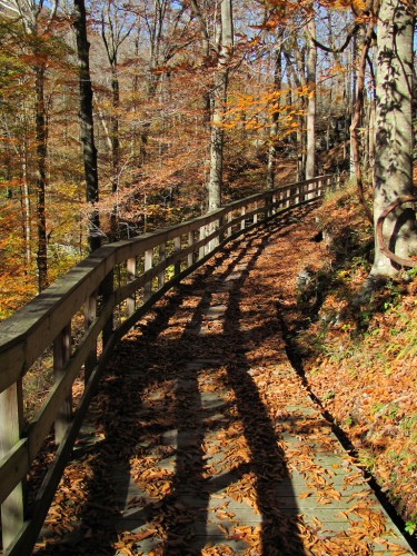 mammoth-cave_boardwalk
