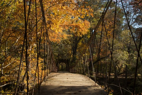 natchez-trace_tishomingo-bridge