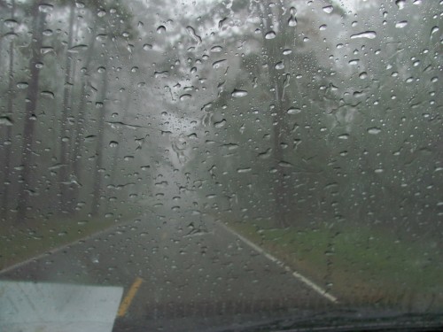 natchez-trace_windshield