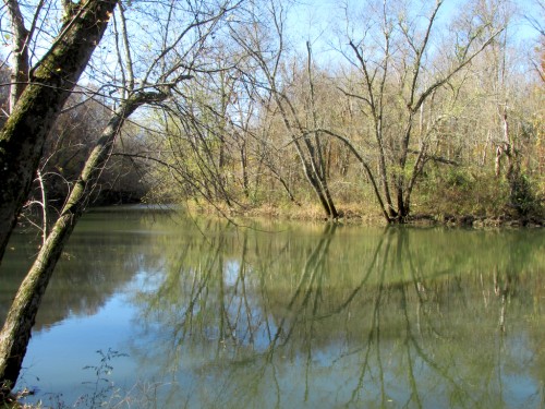 nolin-river
